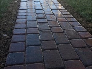 Paver Walk 2